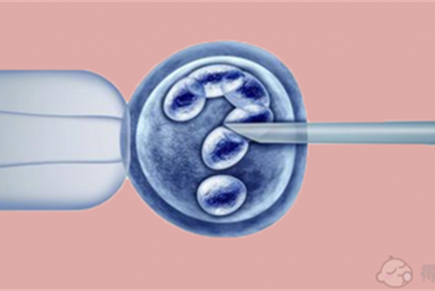 孕妇可以吃海兔吗？吃海兔的好处